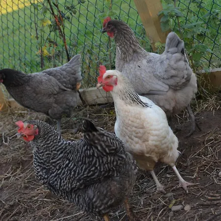 1 Bed In Thirsk 40354 بيت للعطل Carthorpe