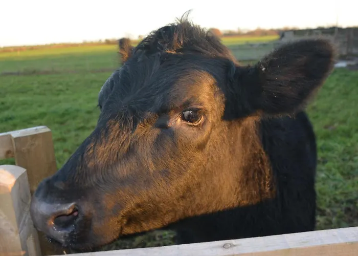 1 Bed In Thirsk Oc-40354 Carthorpe