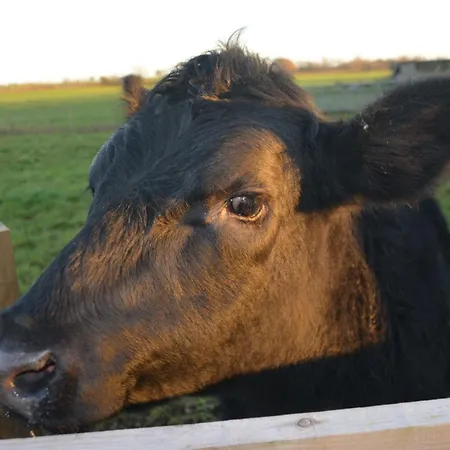 1 Bed In Thirsk Oc-40354 Carthorpe